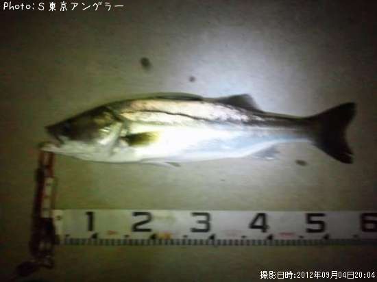 �����Х�