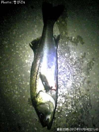 �����Х�