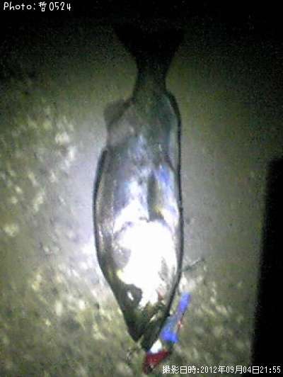 �����Х�