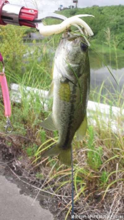 �֥�å��Х�