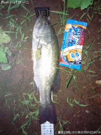 �֥�å��Х�