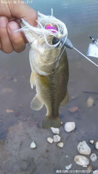 �֥�å��Х�