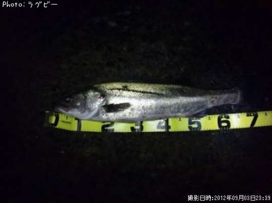 �����Х�