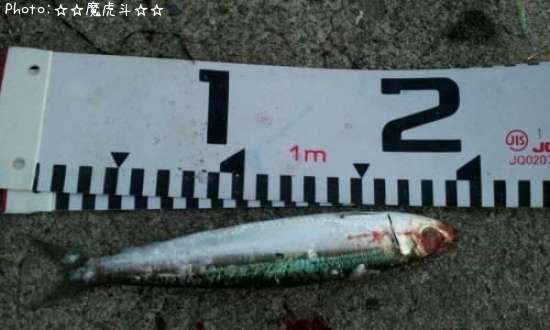 ����ᥤ�亮