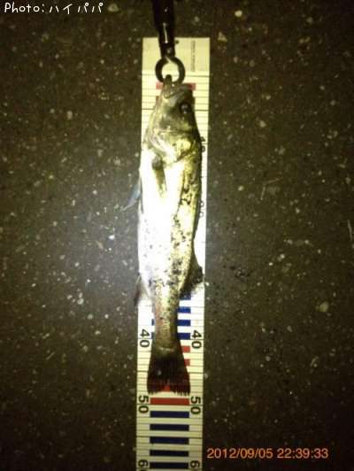 �����Х�