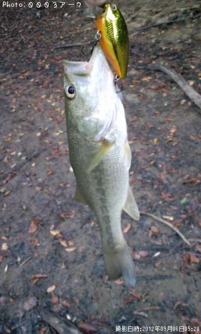 �֥�å��Х�