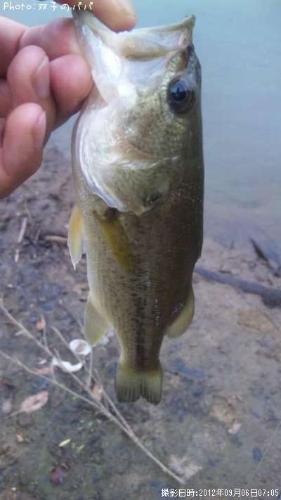 �֥�å��Х�