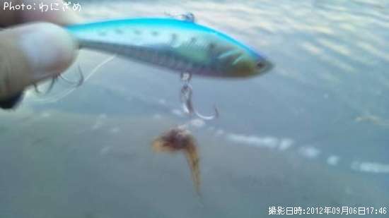 �ޥ���