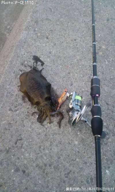 �����ꥤ��