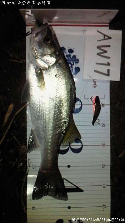 �����Х�