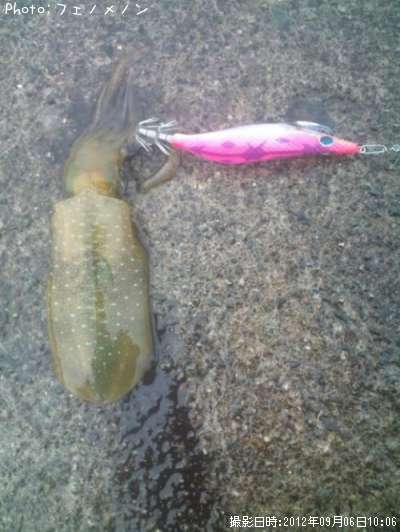 �����ꥤ��