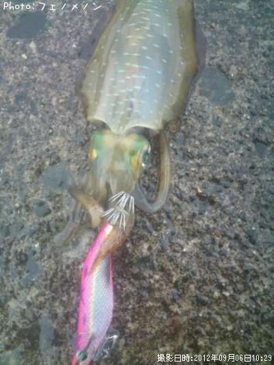 �����ꥤ��