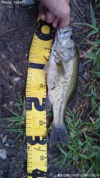 �֥�å��Х�