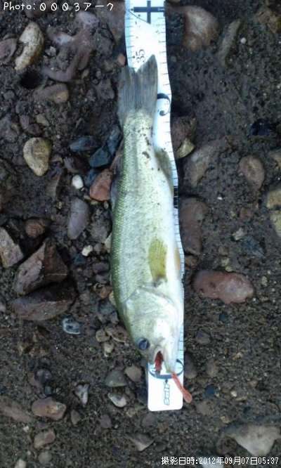 �֥�å��Х�