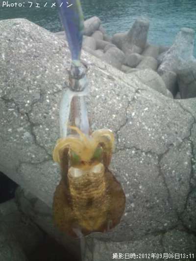 �����ꥤ��