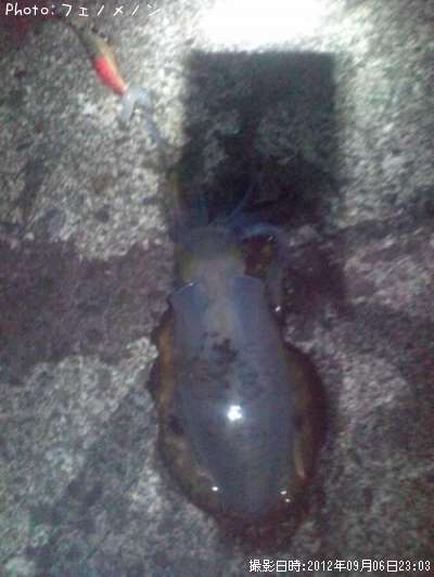 �����ꥤ��