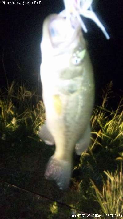 �֥�å��Х�