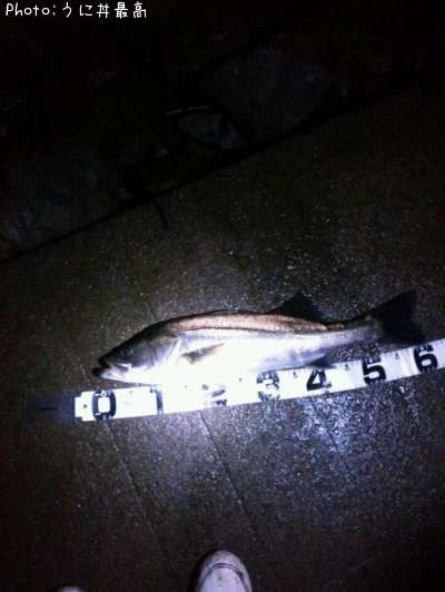 �����Х�