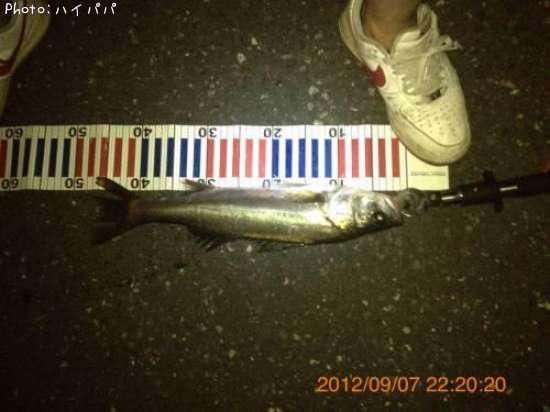 �����Х�