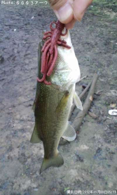 �֥�å��Х�