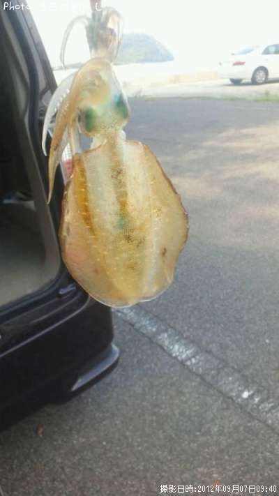 �����ꥤ��