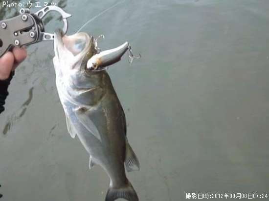 �����Х�