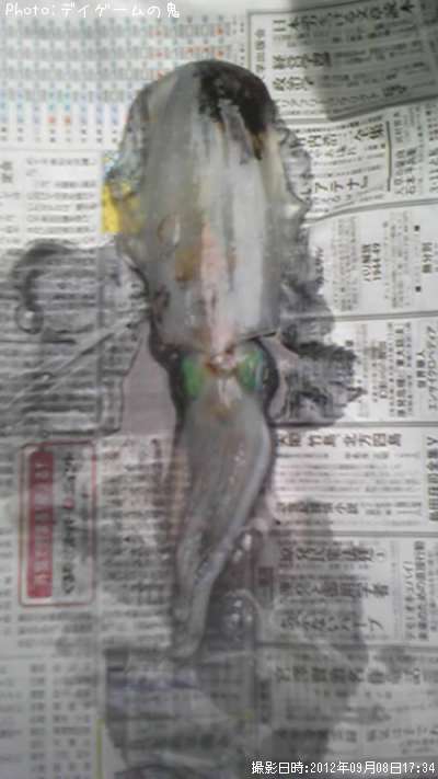 �����ꥤ��