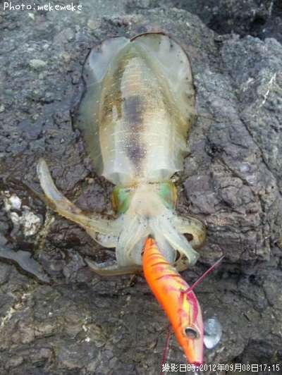 �����ꥤ��