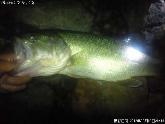 �֥�å��Х�