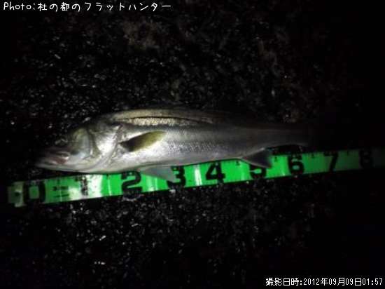 �����Х�