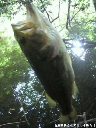 �֥�å��Х�