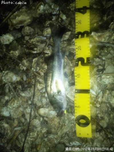 �����Х�