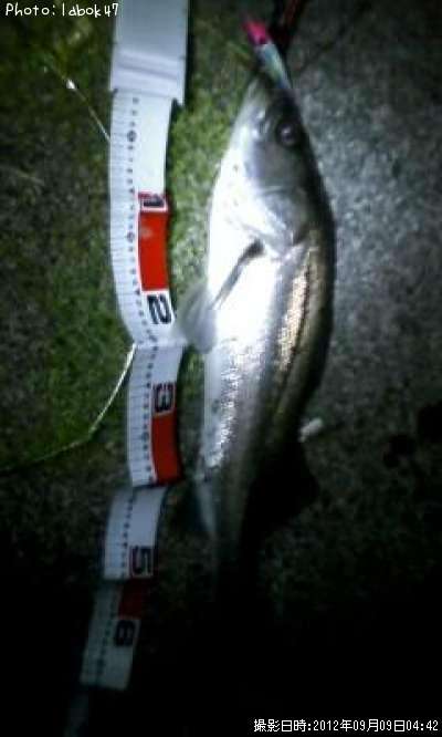 �����Х�