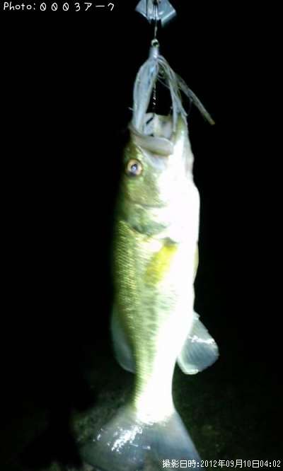 �֥�å��Х�