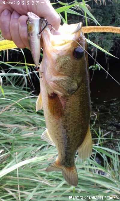 �֥�å��Х�