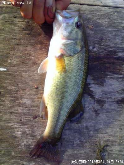 �֥�å��Х�