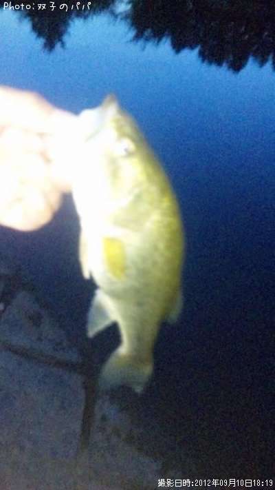 �֥�å��Х�