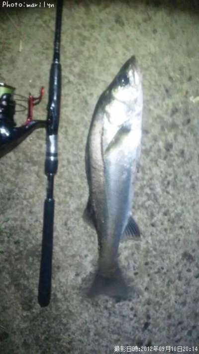 �����Х�