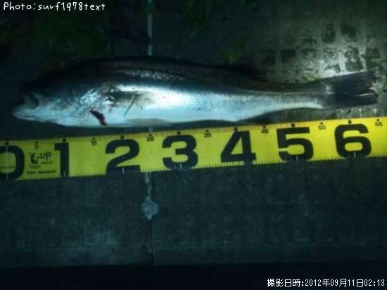 �����Х�