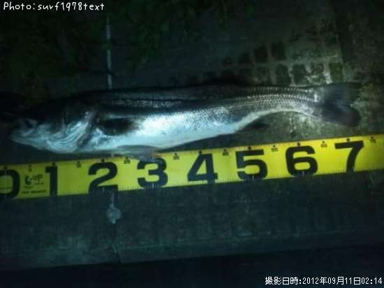 �����Х�