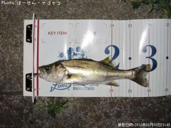 �����Х�