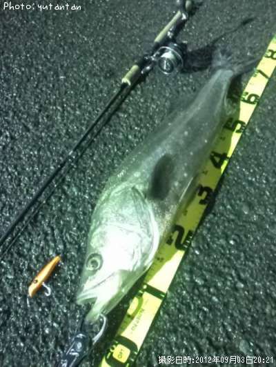 �����Х�