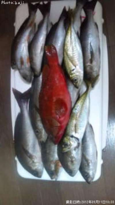 ������������¾