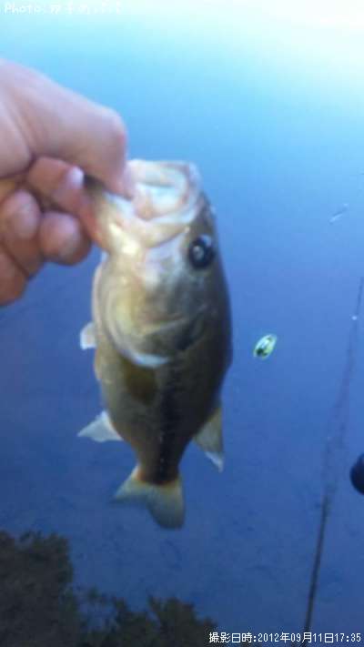 �֥�å��Х�