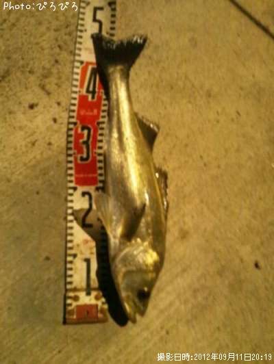 �����Х�