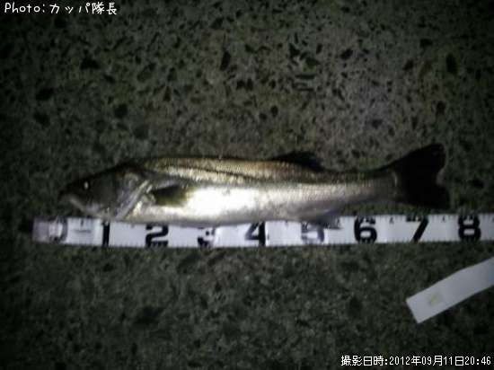 �����Х�