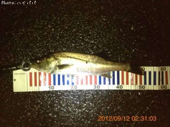 �����Х�