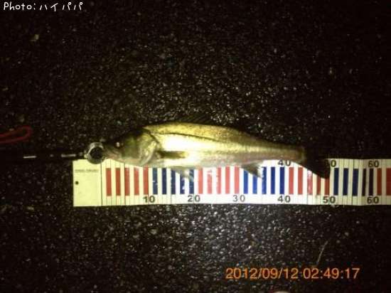 �����Х�