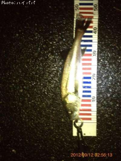 �����Х�