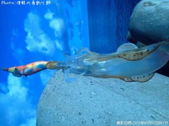 �����ꥤ��